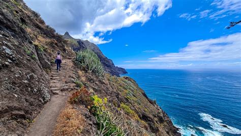 acojeje|Acojeja in Canary Islands